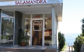 Salamandra Apartamentos